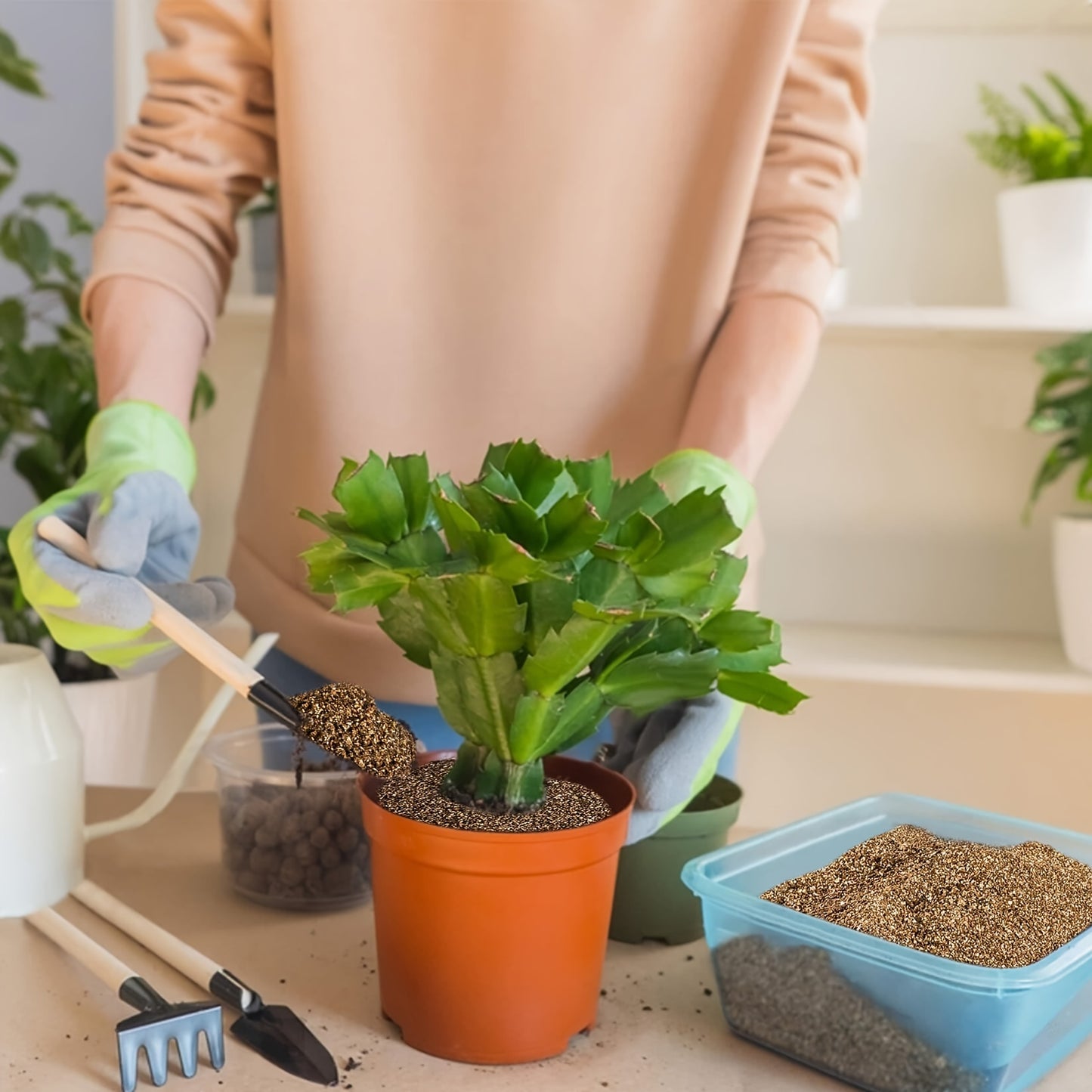 Hochwertiges Gartenbau-Vermiculit – ideal für Zimmerpflanzen, Pilze und Bonsai-Kunstprojekte (2–4 mm)