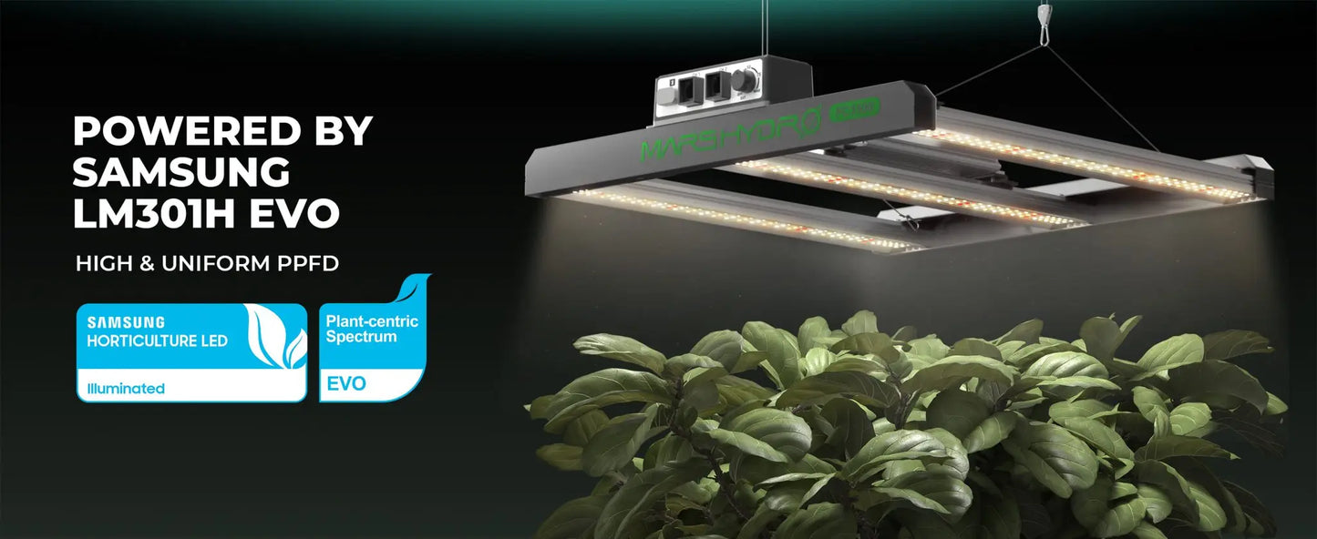 2024 Mars Hydro FC 1500-EVO Samsung LM301H EVO 150 W LED-Wachstumsleuchten für 70 x 70 cm großes Wachstumszelt (1–3 Pflanzen)