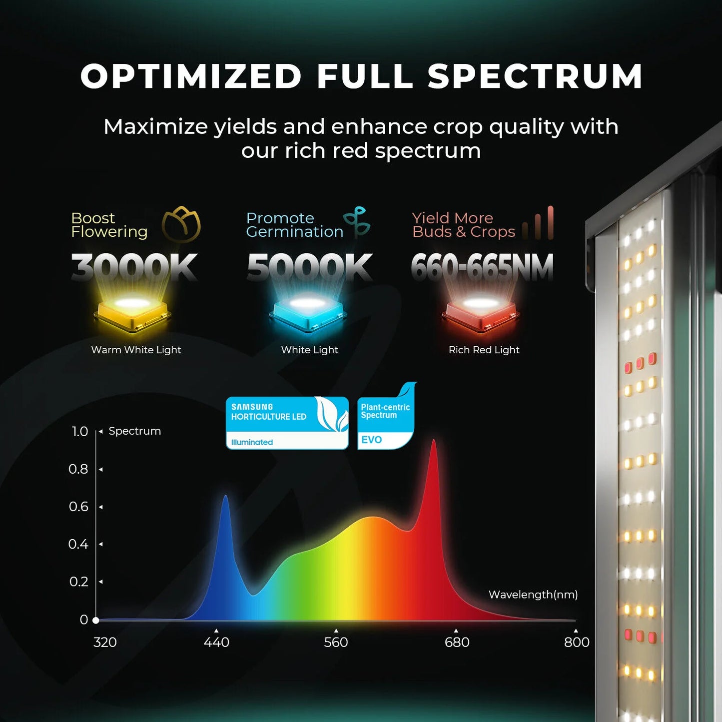 2024 Mars Hydro FC 1500-EVO Samsung LM301H EVO 150 W LED-Wachstumsleuchten für 70 x 70 cm großes Wachstumszelt (1–3 Pflanzen)