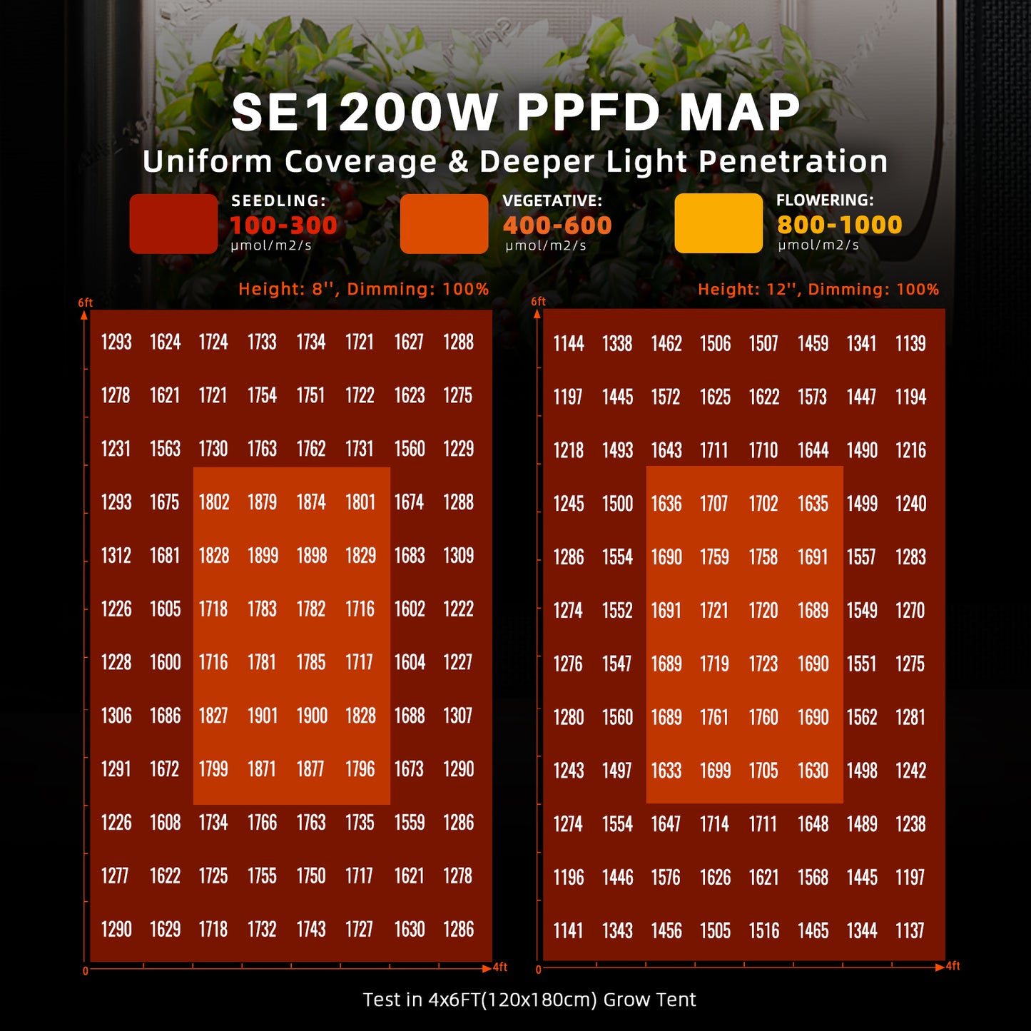 Spider Farmer SE1200W LED