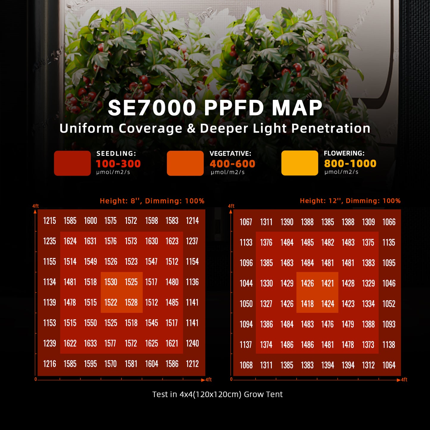 Spider Farmer SE7000 LED
