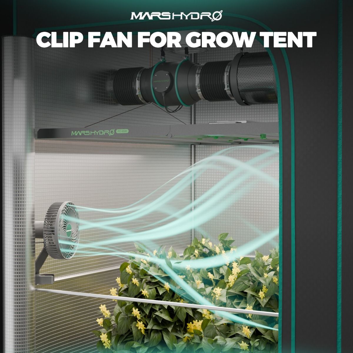 [Anfängerwahl] Mars Hydro TS 600 Komplettes Growzelt-Set | 100 W LED-Wachstumslicht | 60 x 60 x 140 cm Indoor-Growzelt | 4-Zoll-Belüftungssystem | 6-Zoll-Clip-On-Lüfter