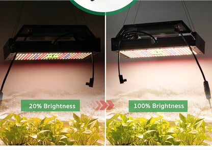 Vollspektrum LED Grow Licht AC85-265V Samsung LM301B 312Stk 3000K 6500K dimmbar für Veg & Bloom