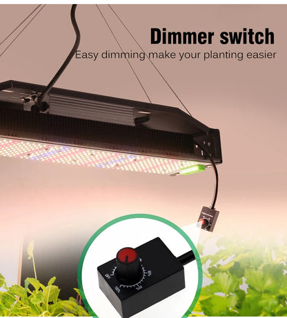 Vollspektrum LED Grow Licht AC85-265V Samsung LM301B 312Stk 3000K 6500K dimmbar für Veg & Bloom