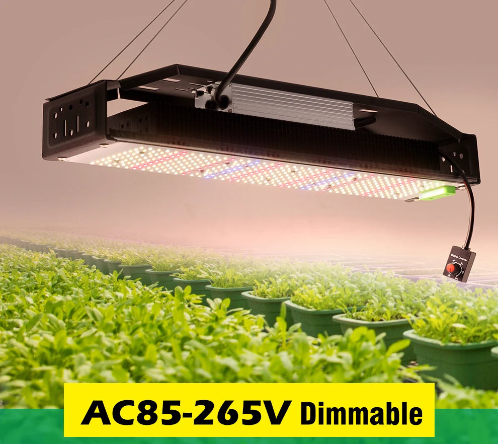 Vollspektrum LED Grow Licht AC85-265V Samsung LM301B 312Stk 3000K 6500K dimmbar für Veg & Bloom