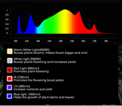 Vollspektrum LED Grow Licht AC85-265V Samsung LM301B 312Stk 3000K 6500K dimmbar für Veg & Bloom
