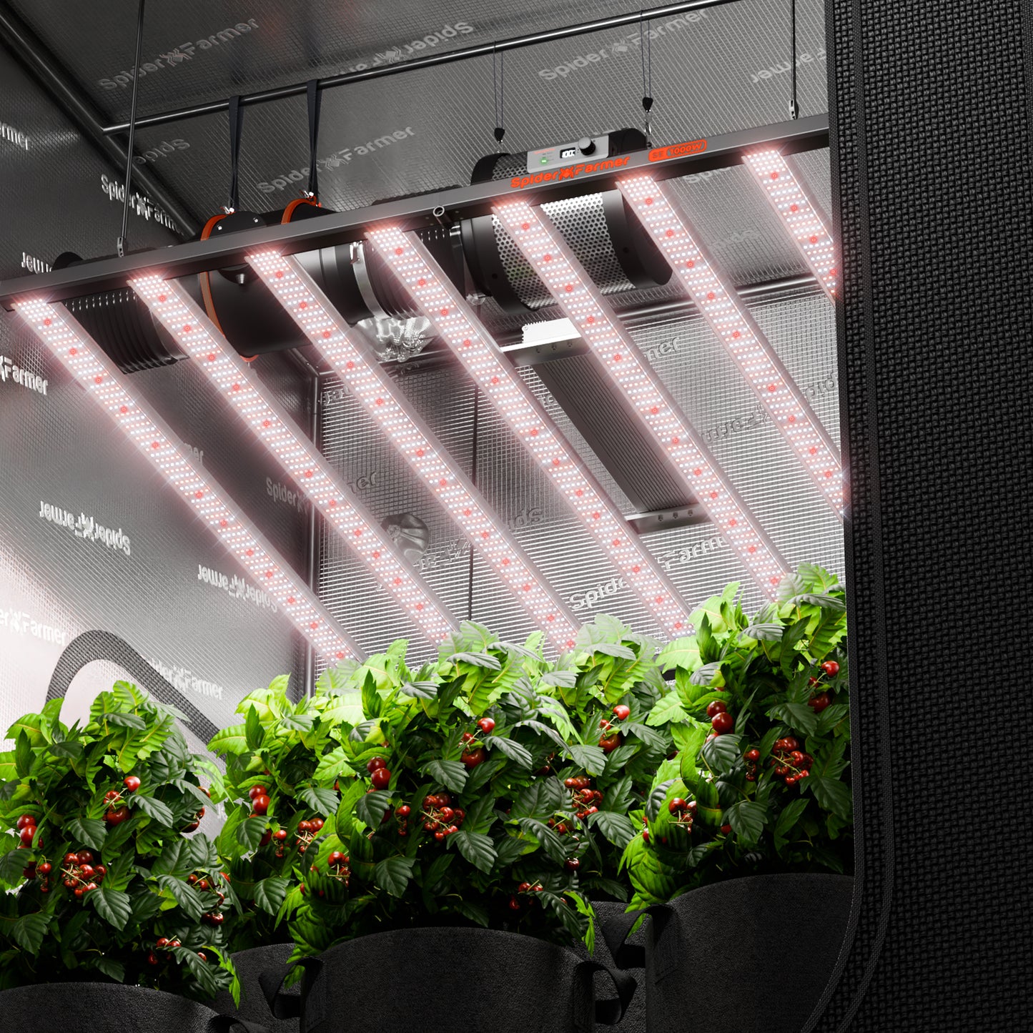 Spider Farmer SE1000W LED