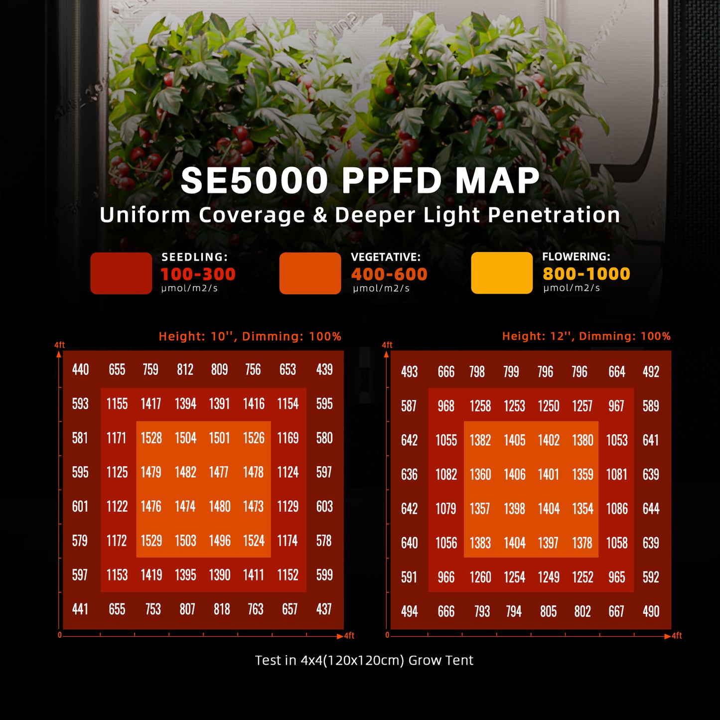 Spider Farmer SE5000 LED