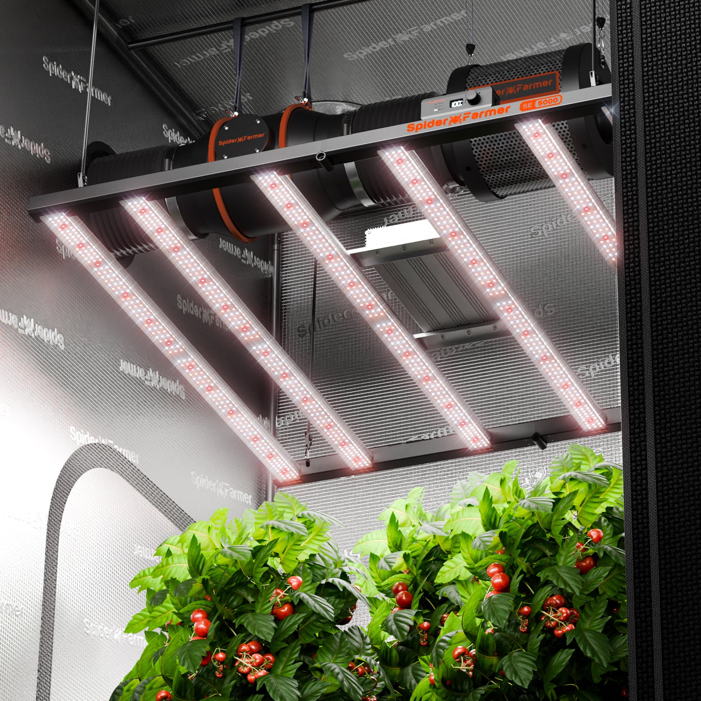 Spider Farmer SE5000 LED