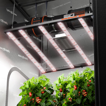 Spider Farmer SE5000 LED