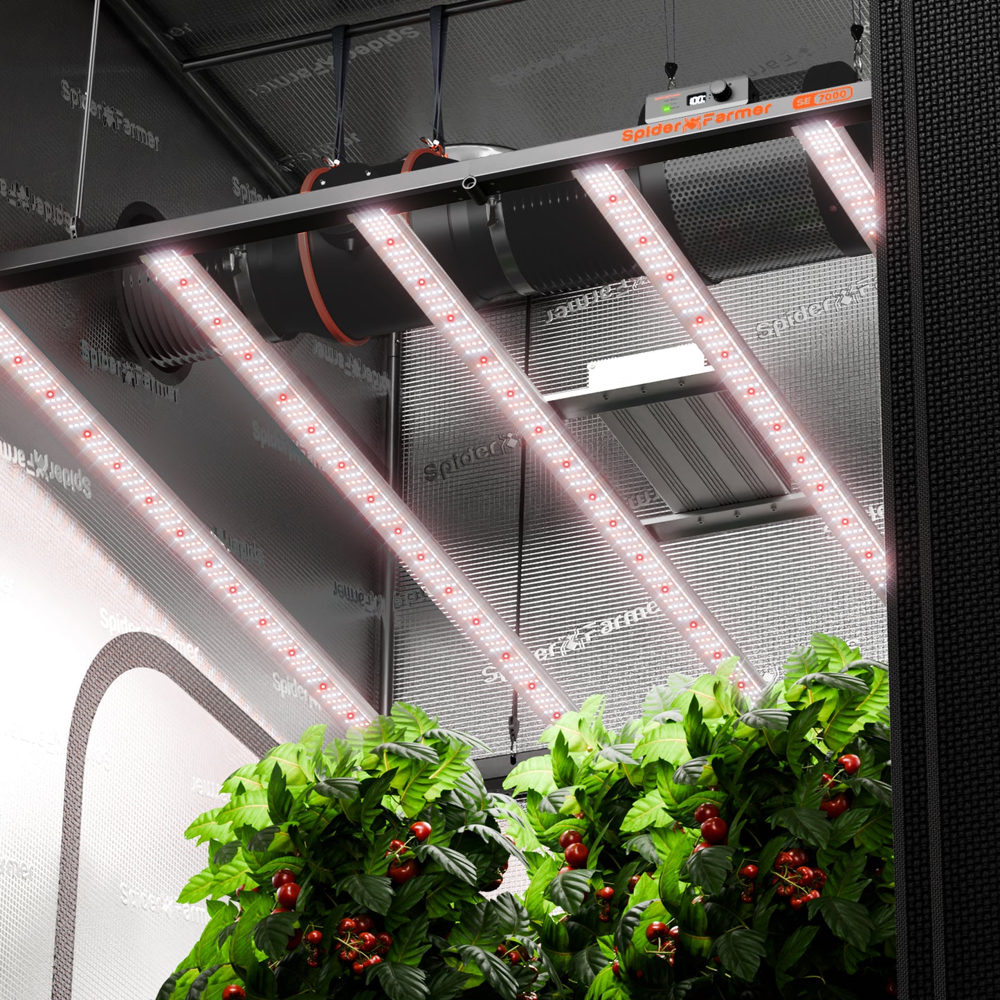 Spider Farmer SE7000 LED