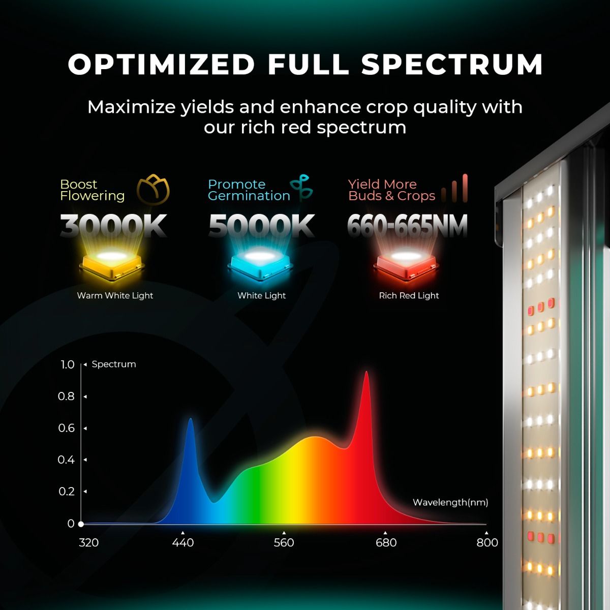 Mars Hydro FC4000-EVO Komplettes Growzelt-Set | Samsung 320W LED-Pflanzenlampe + 120x60x180cm Indoor-Zelt + 4″ intelligentes Belüftungssystem | Maximaler Ertrag 3,5g/Watt