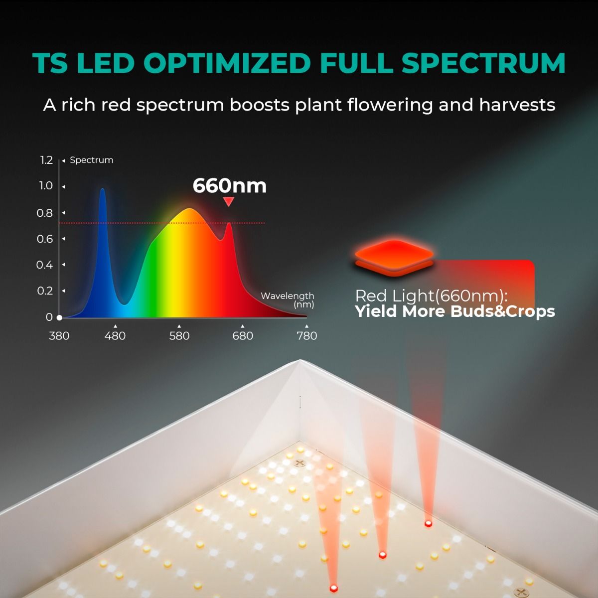 Mars Hydro TS 1000 Vollspektrum-LED-Wachstumslampe, dimmbar, 150 W