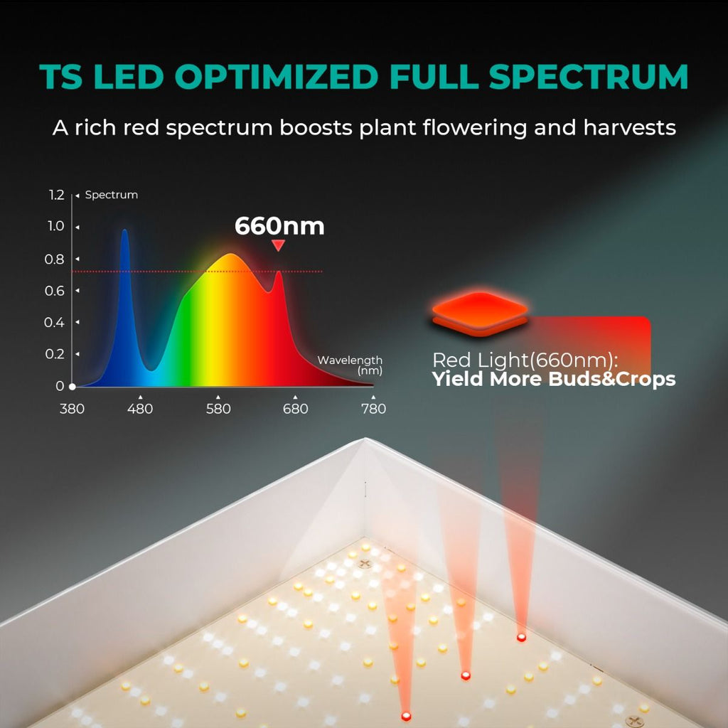 Mars Hydro TS 1000 Komplettes Growzelt-set | Dimmbare 150-W-LED-Wachstumslampe | 80 x 80 x 160 cm großes Indoor-Zelt | 4-Zoll-Belüftungssystem | 6-Zoll-Clip-On-Ventilator