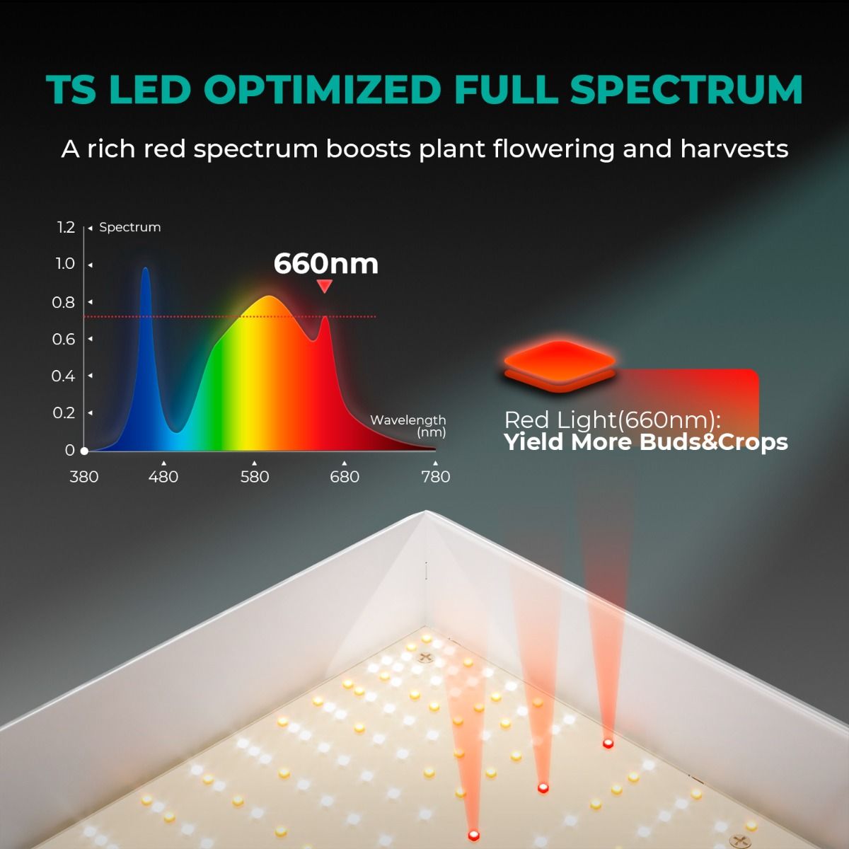 Mars Hydro TS 1000 Komplettes Growzelt-set | Dimmbare 150-W-LED-Wachstumslampe | 80 x 80 x 160 cm großes Indoor-Zelt | 4-Zoll-Belüftungssystem | 6-Zoll-Clip-On-Ventilator