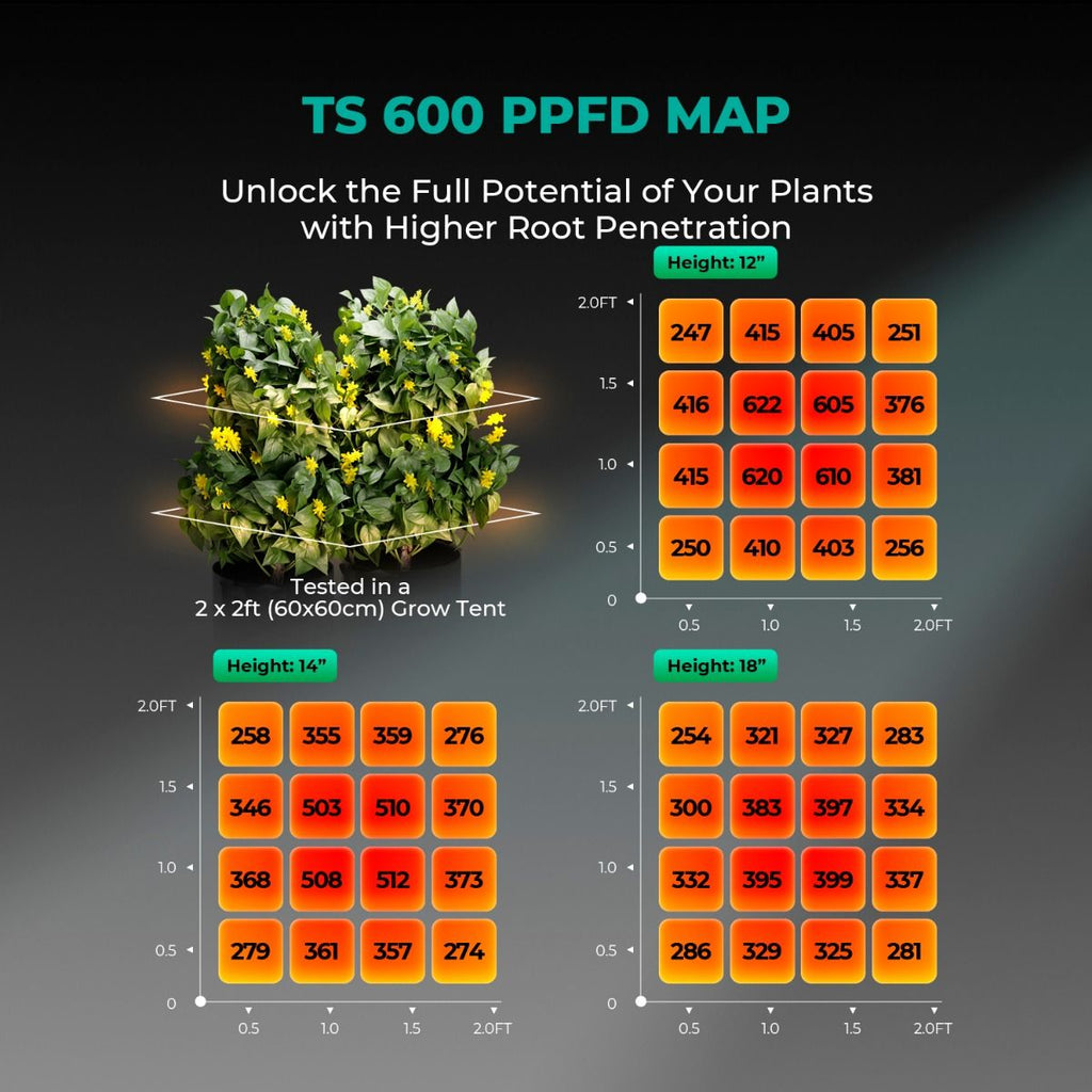 Mars Hydro TS600 Essential 100 W Vollspektrum-LED-Wachstumslampe für Anfänger