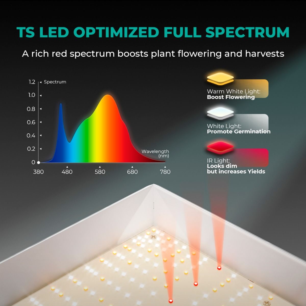 Mars Hydro TS600 Essential 100 W Vollspektrum-LED-Wachstumslampe für Anfänger