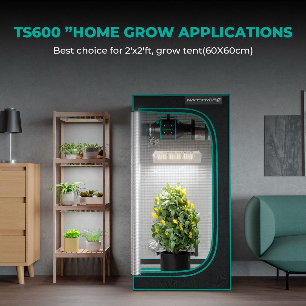 [Anfängerwahl] Mars Hydro TS 600 Komplettes Growzelt-Set | 100 W LED-Wachstumslicht | 60 x 60 x 140 cm Indoor-Growzelt | 4-Zoll-Belüftungssystem | 6-Zoll-Clip-On-Lüfter