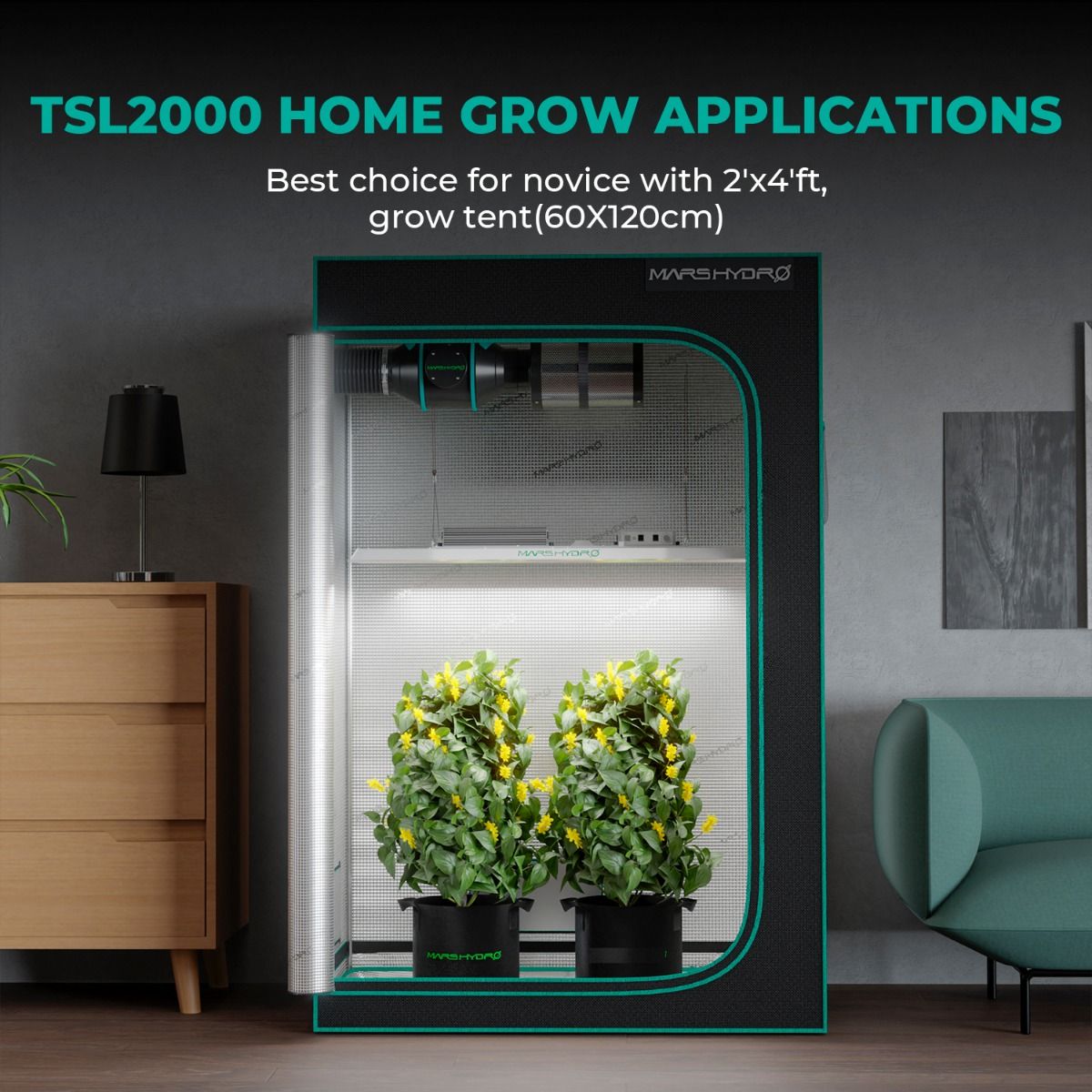 Mars Hydro TSL 2000 Vollspektrum-LED-Wachstumslampe, dimmbar, 300 W