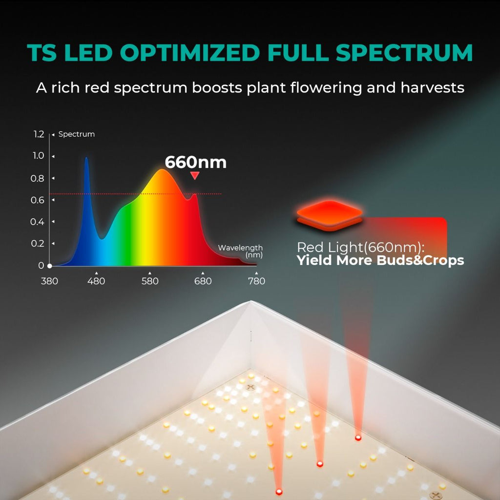 Mars Hydro TSL2000 Komplettes Growzelt-Set | 300 W LED-Pflanzenlampe + 120 x 60 x 180 cm Indoor-Growzelt + 4-Zoll-Belüftungssystem | 6-Zoll-Clip-On-Ventilator