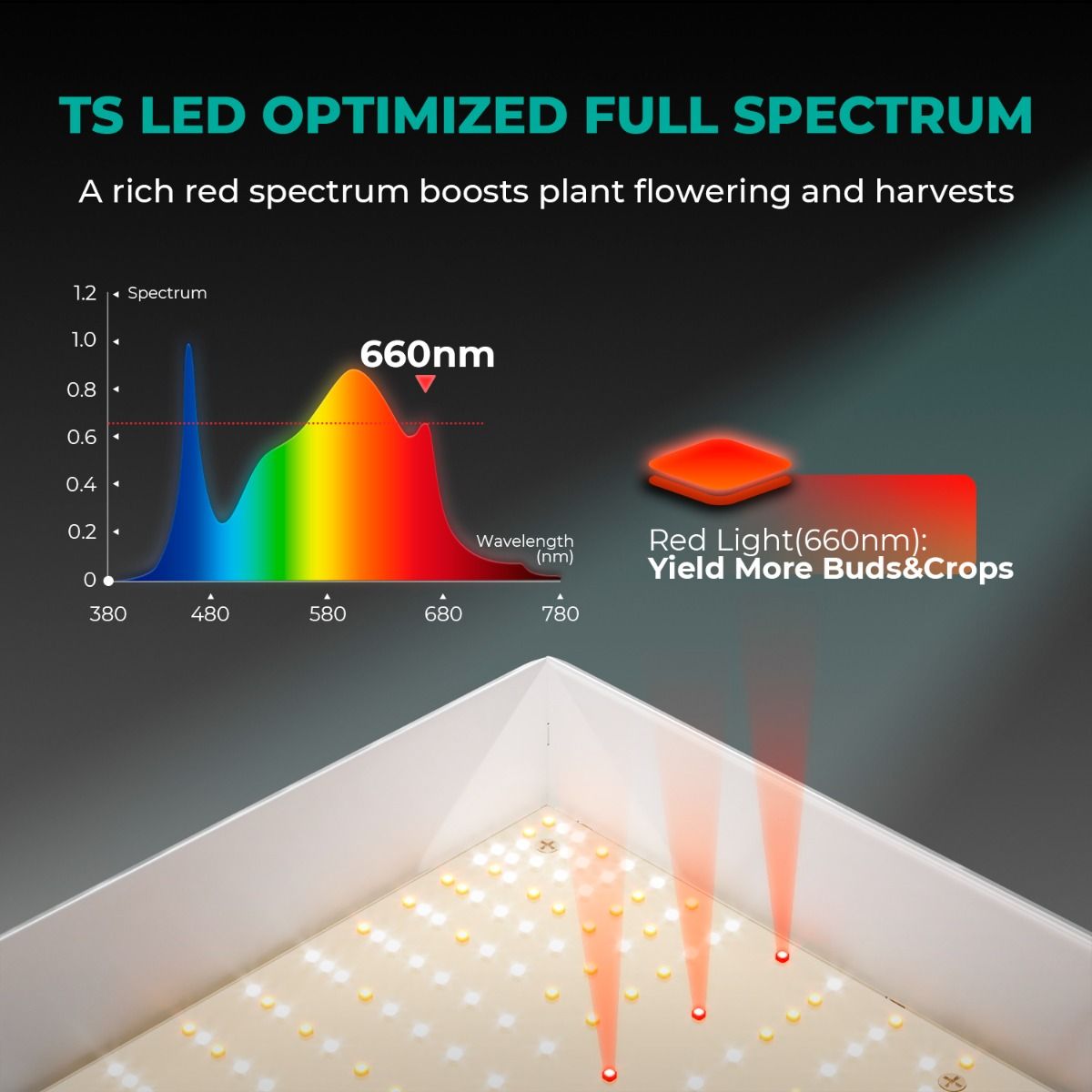 Mars Hydro TSL2000 Komplettes Growzelt-Set | 300 W LED-Pflanzenlampe + 120 x 60 x 180 cm Indoor-Growzelt + 4-Zoll-Belüftungssystem | 6-Zoll-Clip-On-Ventilator