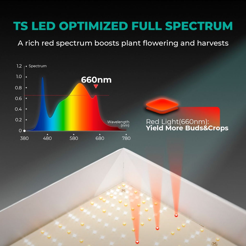Mars Hydro TSL 2000 Vollspektrum-LED-Wachstumslampe, dimmbar, 300 W