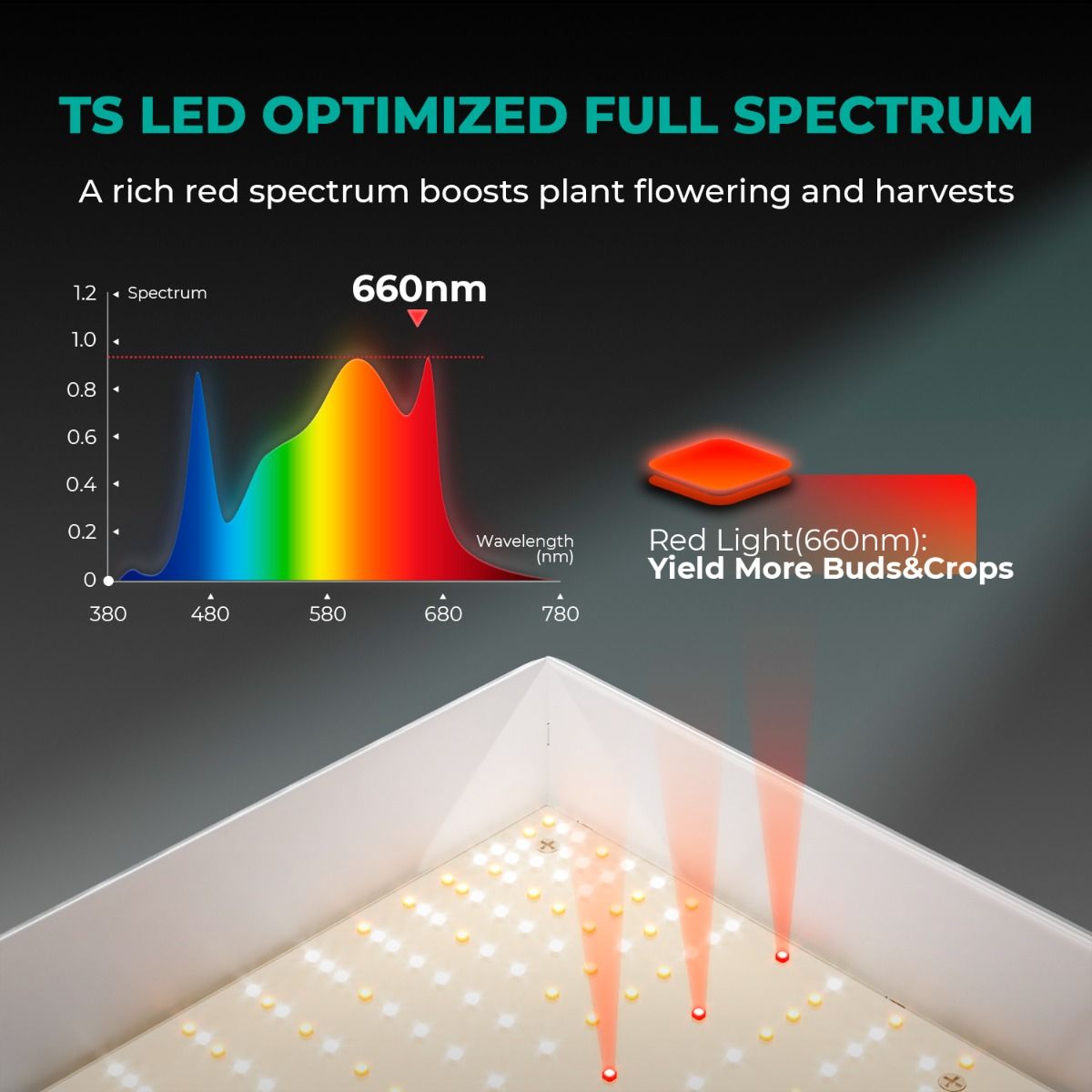 Mars Hydro TSW2000 Komplettes Growzelt-Set | 300 W LED-Pflanzenlampe | 120 x 120 x 200 cm Indoor-Growzelt | 6-Zoll-Belüftungssystem | 6-Zoll-Clip-On-Lüfter